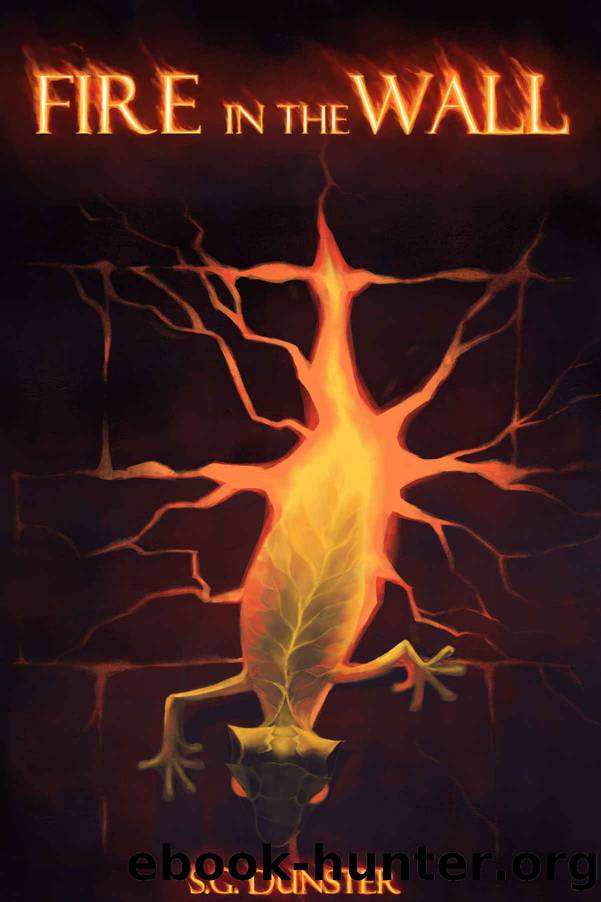 Fire in the Wall by S. G. Dunster