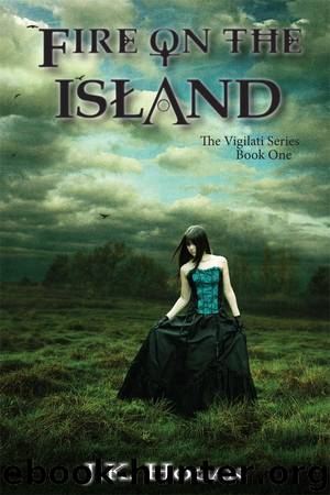 Fire on the Island by J. K. Hogan