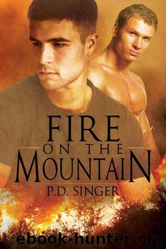 Fire on the Mountain (The Mountains) by Singer P.D
