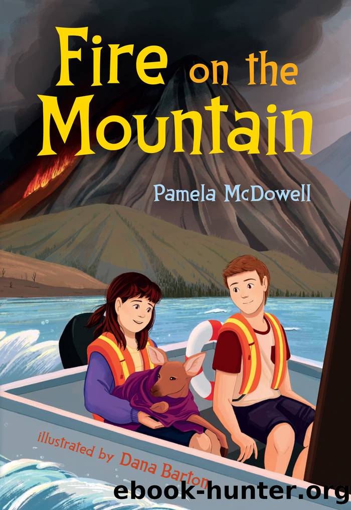 Fire on the Mountain by Pamela McDowell