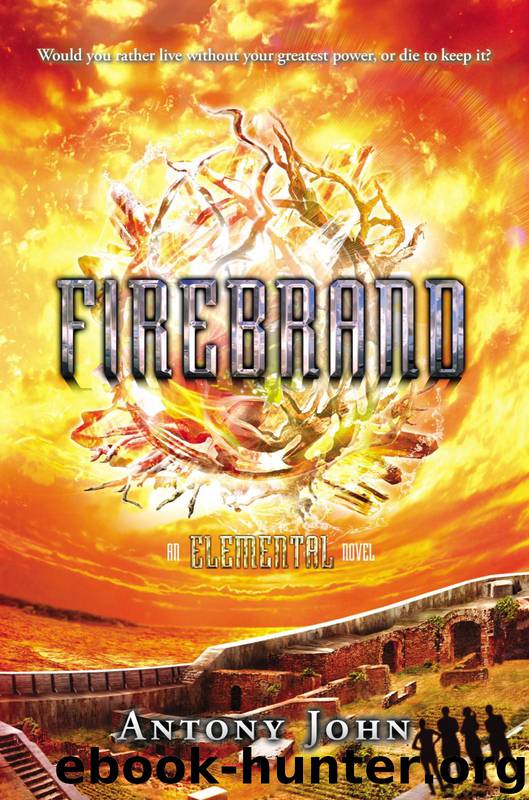 Firebrand An Elemental Novel by Antony John