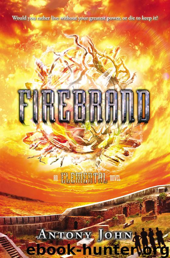 Firebrand by Antony John