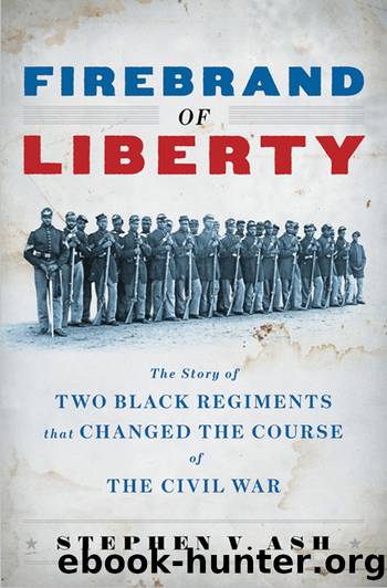 Firebrand of Liberty by Stephen V. Ash