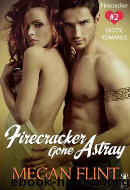 Firecracker Gone Astray - Firecracker #2 (Erotic Romance) by Flint Megan