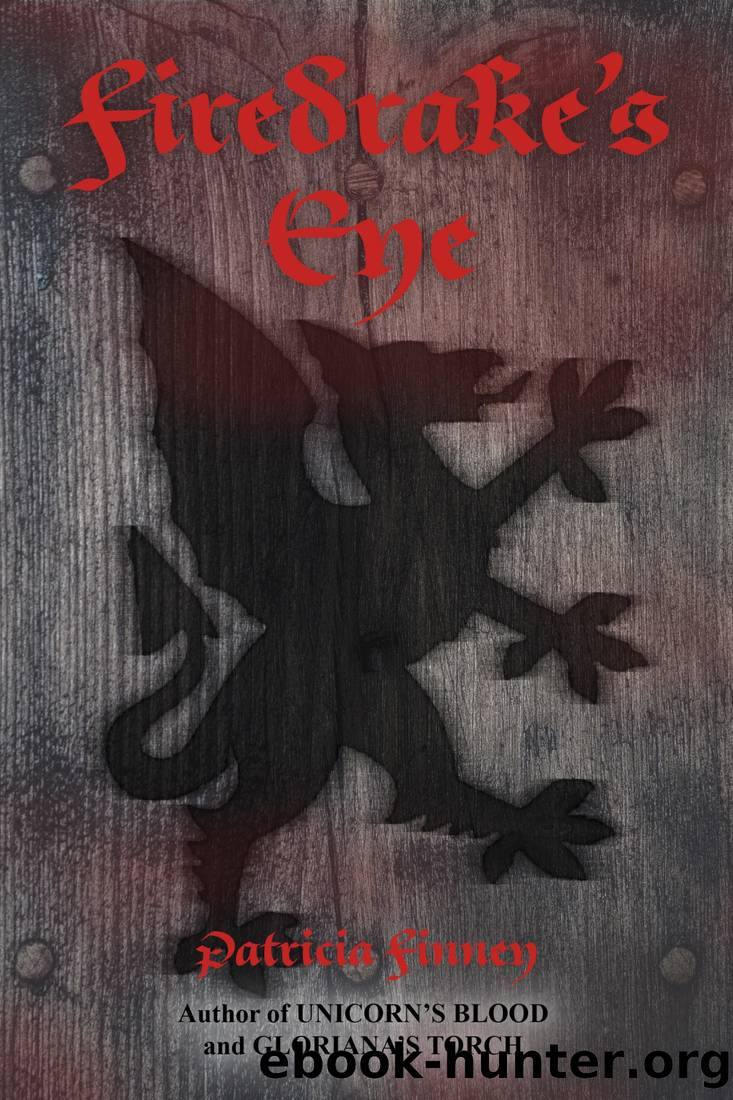 Firedrake's Eye by Patricia Finney