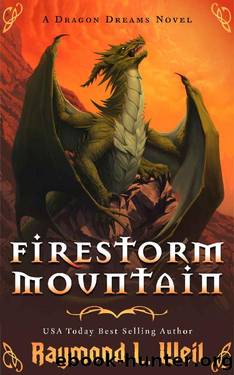 Firestorm Mountain_A Dragon Dreams Novel by Raymond L. Weil