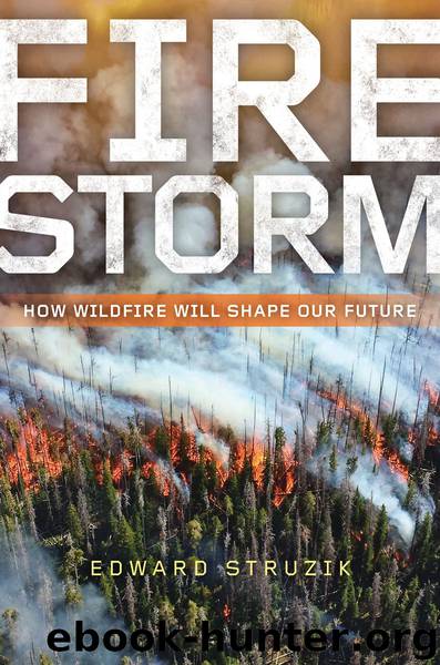 Firestorm by Edward Struzik