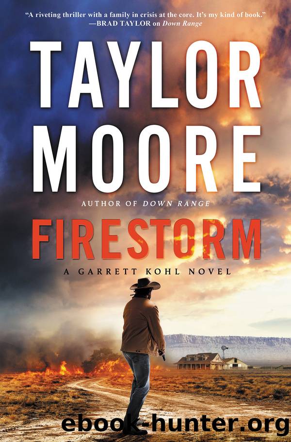 Firestorm by Taylor Moore