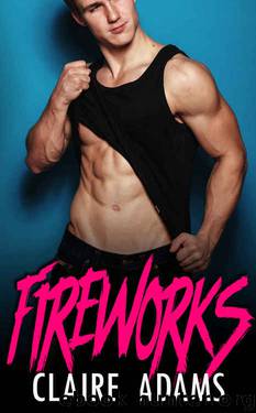 Fireworks: A Holiday Bad Boy Romance by Claire Adams
