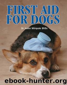 First Aid for Dogs: What to Do Before You Take Your Dog to the Vet by Justin Wimpole