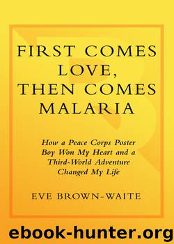 First Comes Love, then Comes Malaria by Eve Brown-Waite