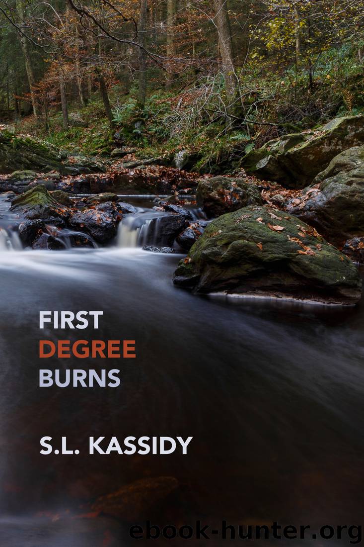 First Degree Burns by S. L. Kassidy