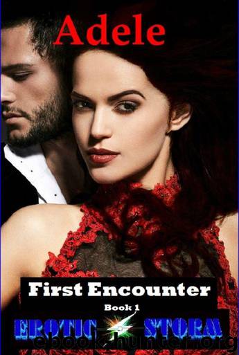 First Encounter: Adele Series .( Bad Boy, Master, Domination, Submission, BDSM, Power and Money) by EroticStorm
