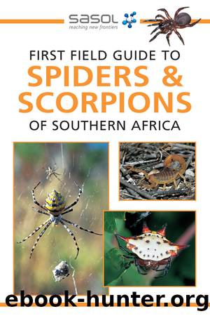 First Field Guide to Spiders & Scorpions of Southern Africa by Tracey Hawthorne