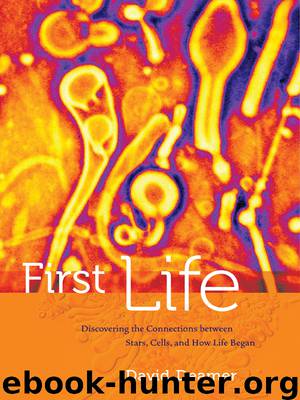 First Life by Deamer David