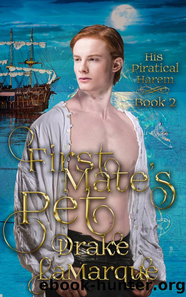 First Mate's Pet (His Piratical Harem Book 2) by Drake LaMarque