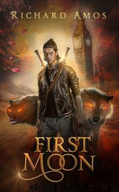 First Moon (Four Moons Book 1) by Richard Amos