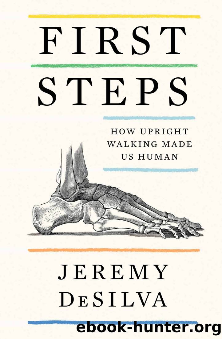 First Steps: How Upright Walking Made Us Human by Jeremy Desilva