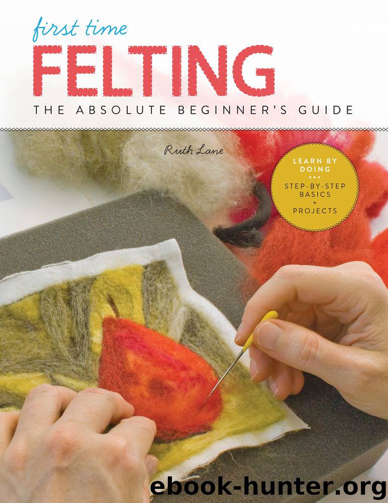 First Time Felting by Ruth Lane