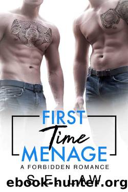 First Time Menage: A Forbidden Romance (Forbidden Fantasies Book 14) by S.E. Law