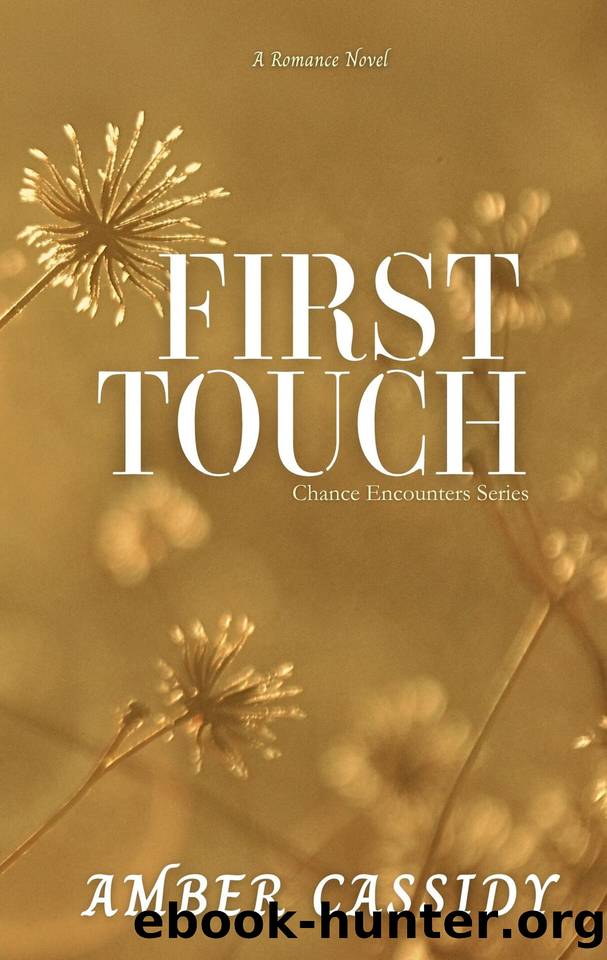 First Touch (Chance Encounters Book 2) by Amber Cassidy
