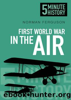 First World War in the Air by Norman Ferguson
