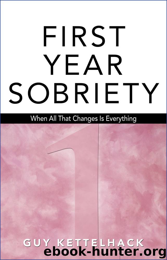 First Year Sobriety by Guy Kettelhack