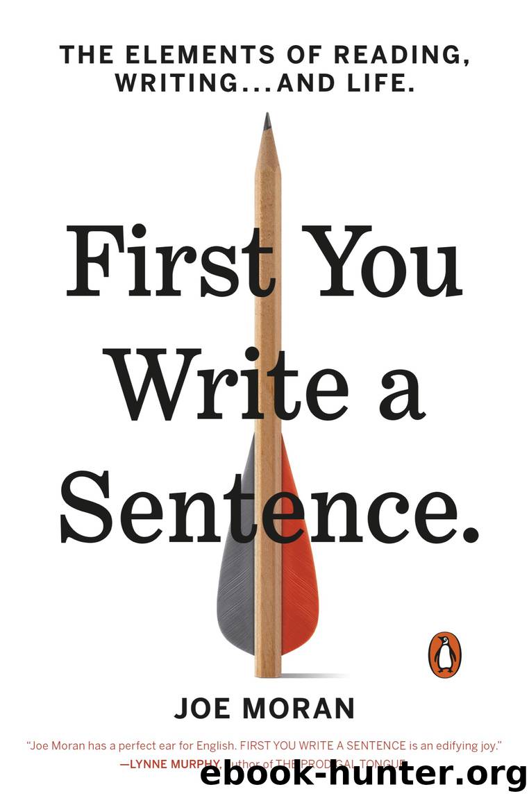 First You Write a Sentence by Joe Moran