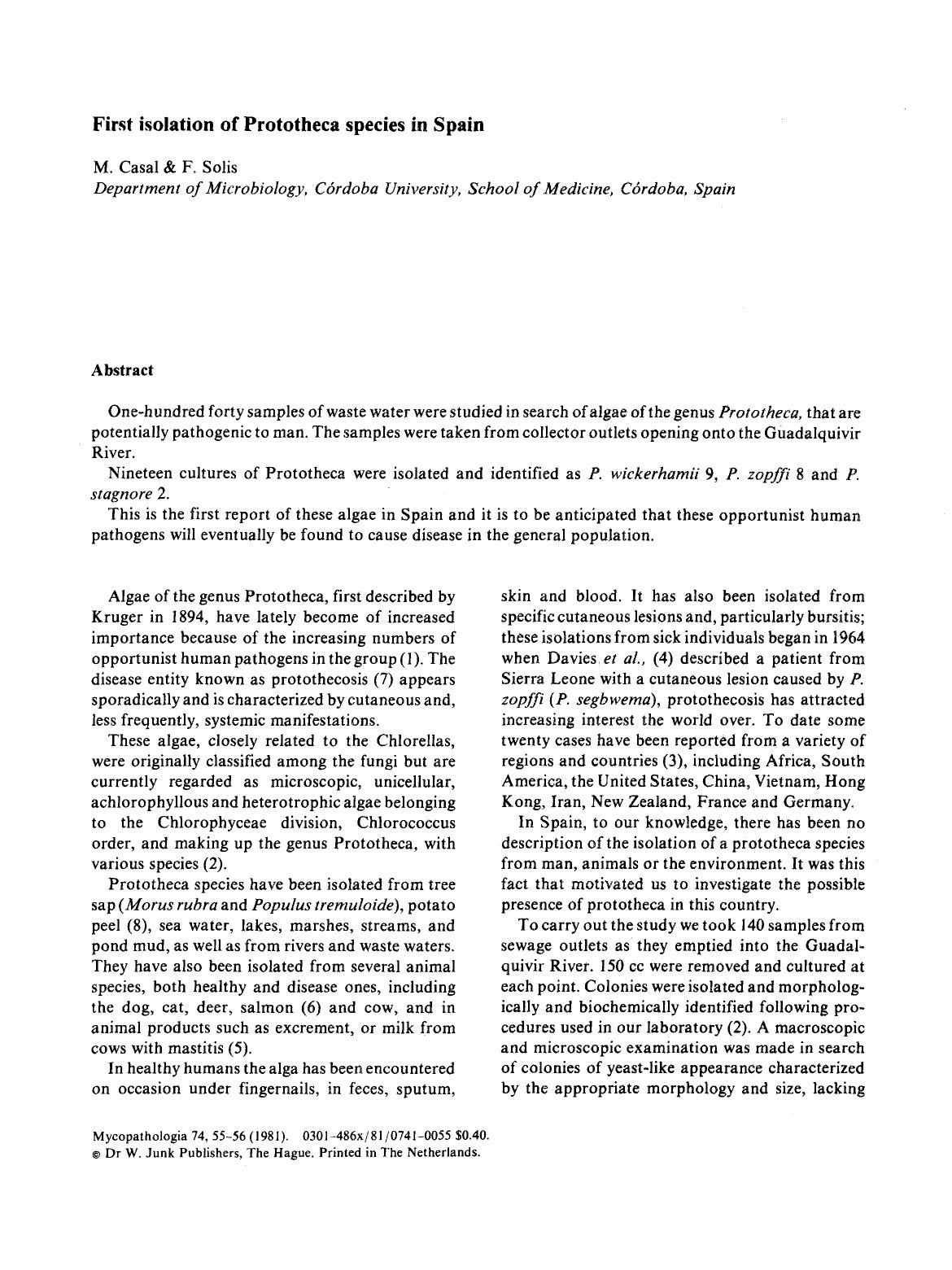 First isolation of Prototheca species in Spain by Unknown