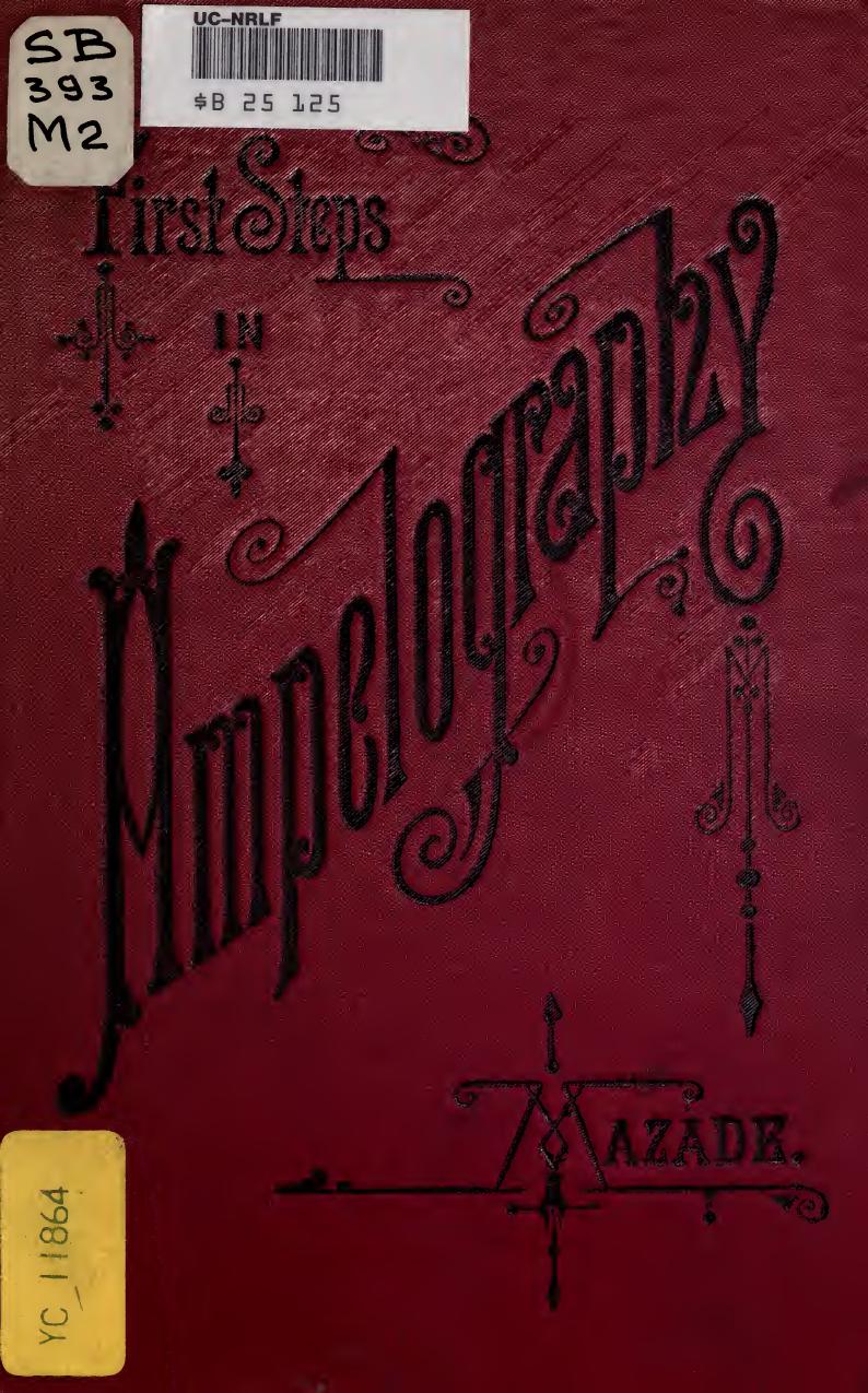 First steps in ampelography: a guide to facilitate the recognition of vines by Mazade Marcel