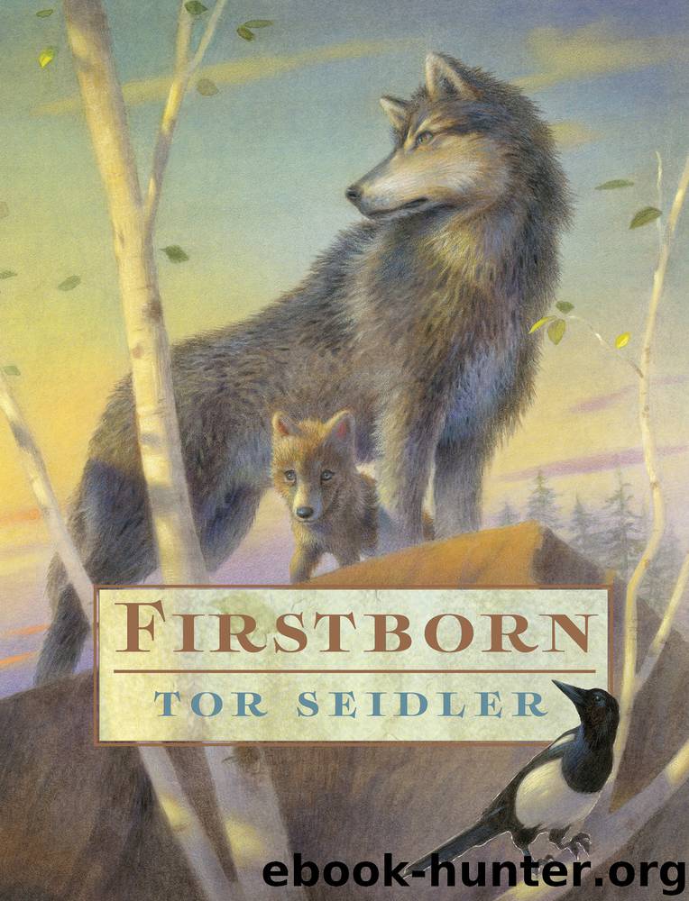 Firstborn by Tor Seidler