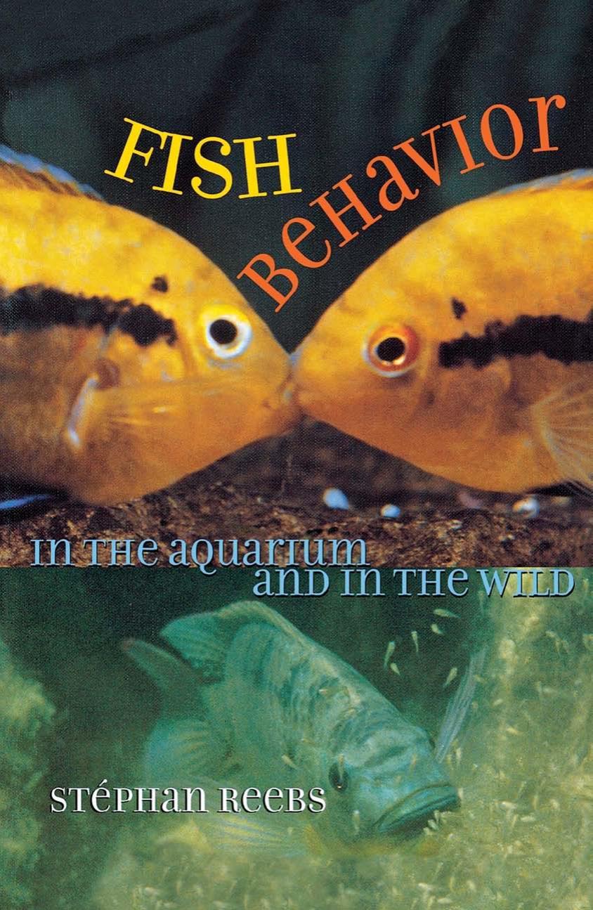 Fish Behavior in the Aquarium and in the Wild by Stephan Reebs