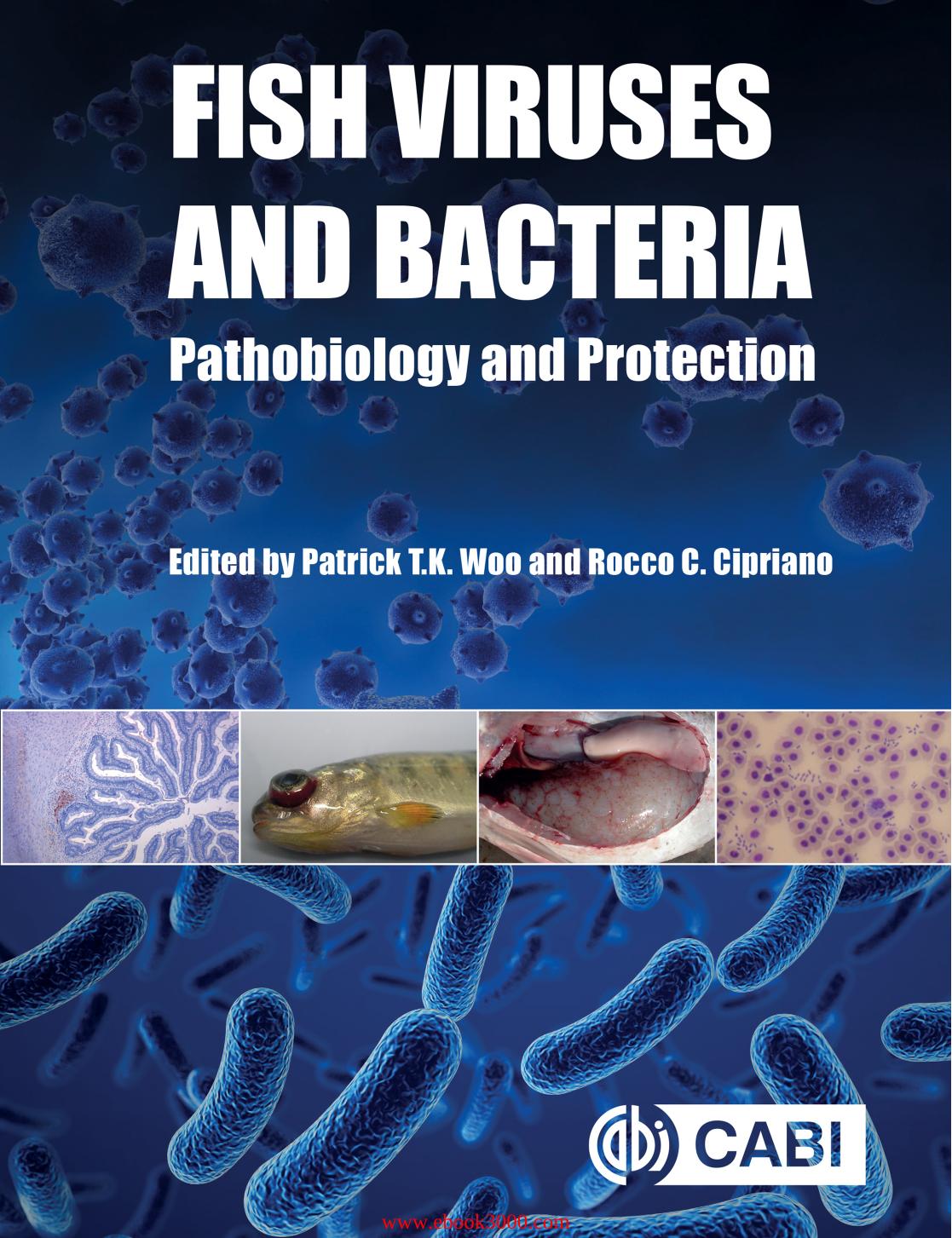 Fish Viruses and Bacteria: Pathobiology and Protection by Unknow