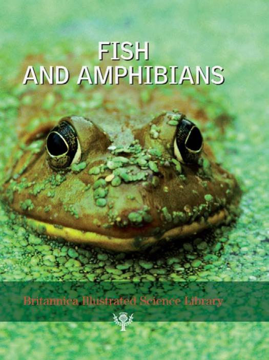 Fish and Amphibians - Britannica Illustrated Science Library by Michael Levy & John Rafferty & William L. Hosch