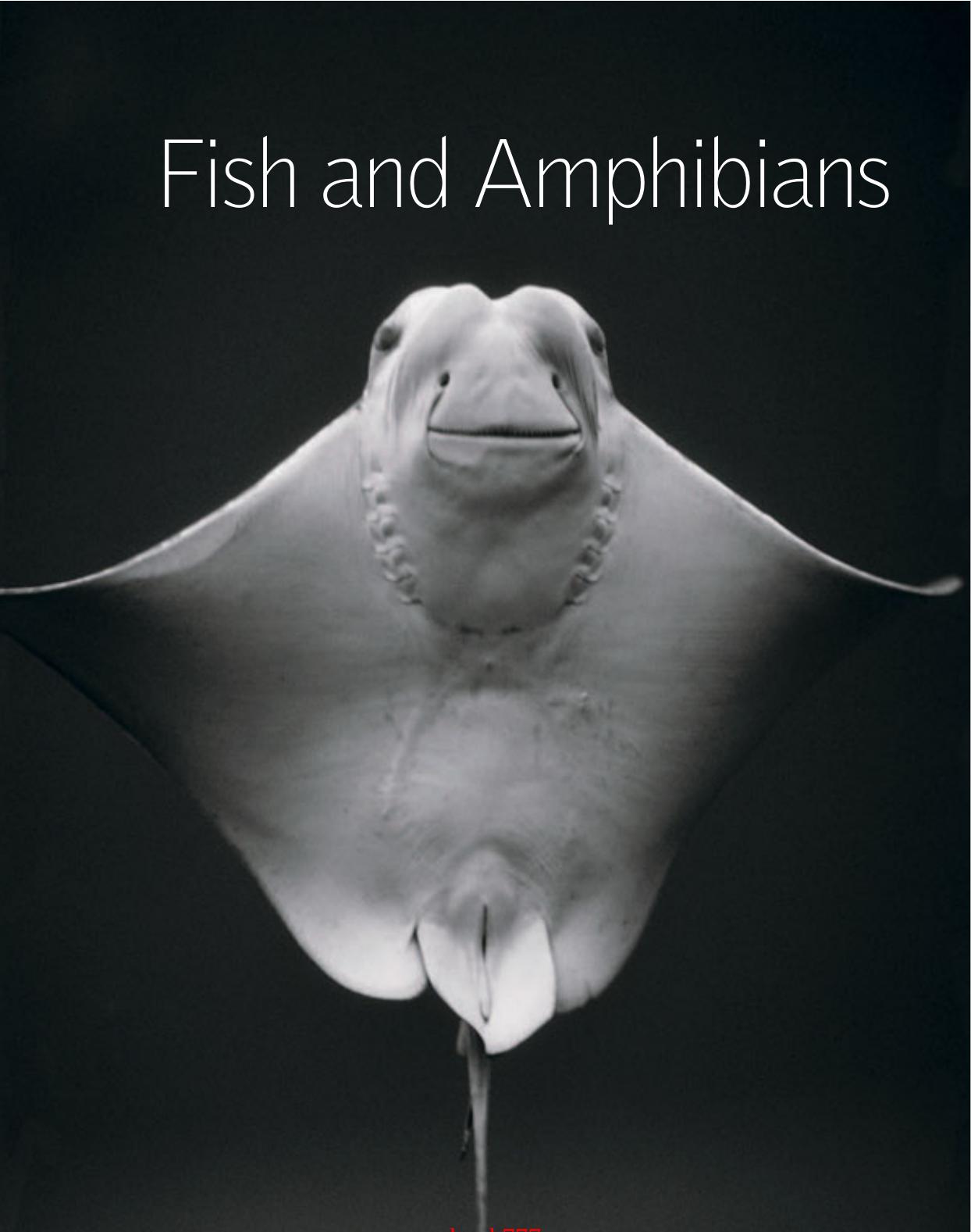Fish and Amphibians - Britannica Illustrated Science Library by Unknown