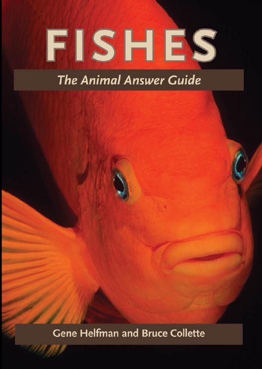 Fishes: The Animal Answer Guide by Gene Helfman & Bruce Collette