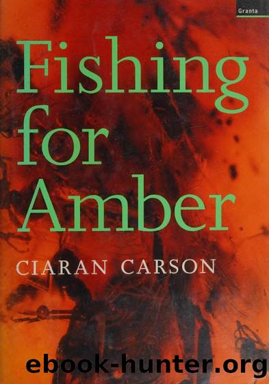 Fishing for amber : a long story by Carson Ciaran 1948-2019