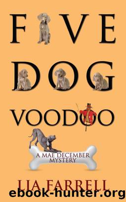 Five Dog Voodoo by Lia Farrell