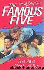 Five Have Plenty of Fun by Enid blyton