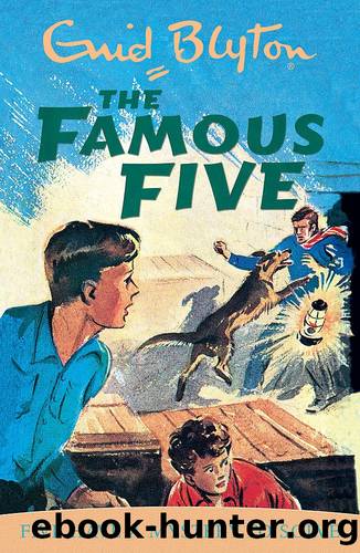 Five Have a Mystery to Solve: Book 20 by Enid Blyton