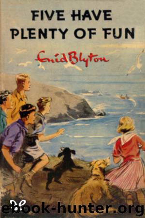 Five have plenty of fun by Enid Blyton