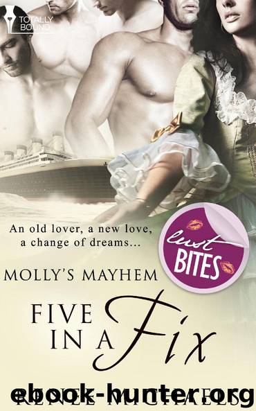 Five in a Fix by Renee Michaels