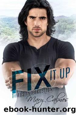 Fix It Up: Torus Intercession Book Three by Mary Calmes