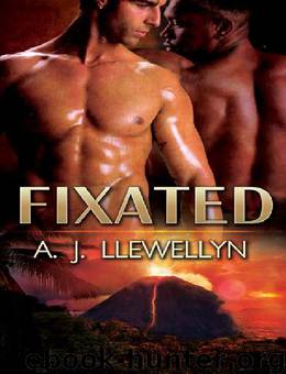 Fixated by A.J. Llewellyn