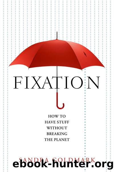 Fixation by Sandra Goldmark