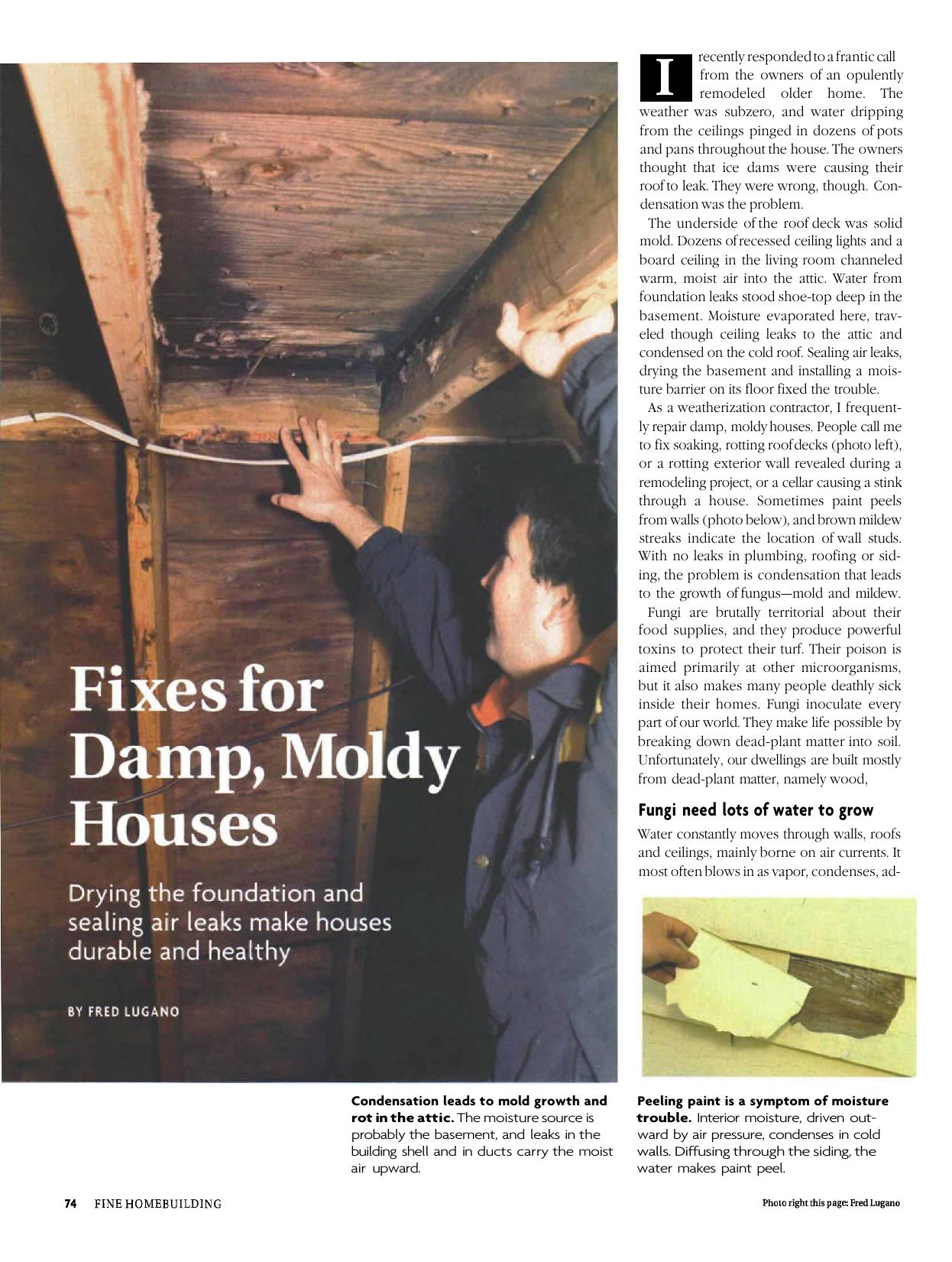 Fixes for Damp, Moldy Houses by Fred Lugano