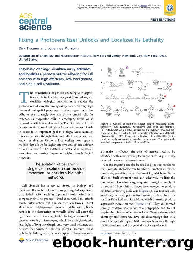 Fixing a Photosensitizer Unlocks and Localizes Its Lethality by Dirk Trauner (ORCID: 0000-0002-6782-6056) & Johannes Morstein (ORCID: 0000-0002-6940-288X)