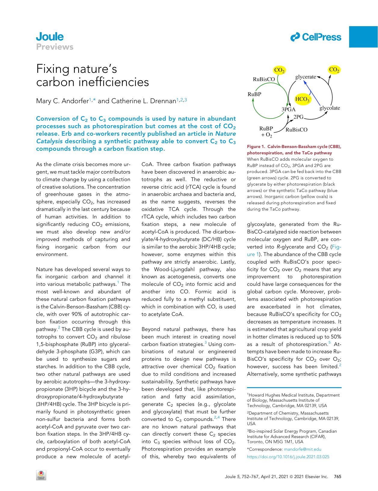 Fixing nature's carbon inefficiencies by Mary C. Andorfer & Catherine L. Drennan