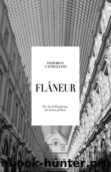 Flâneur: The Art of Wandering the Streets of Paris by Federico Castigliano