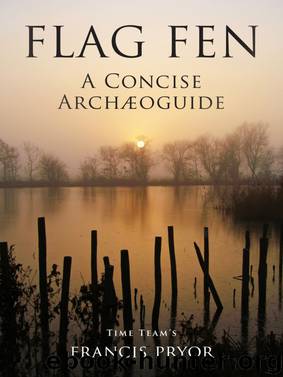 Flag Fen by Francis Pryor